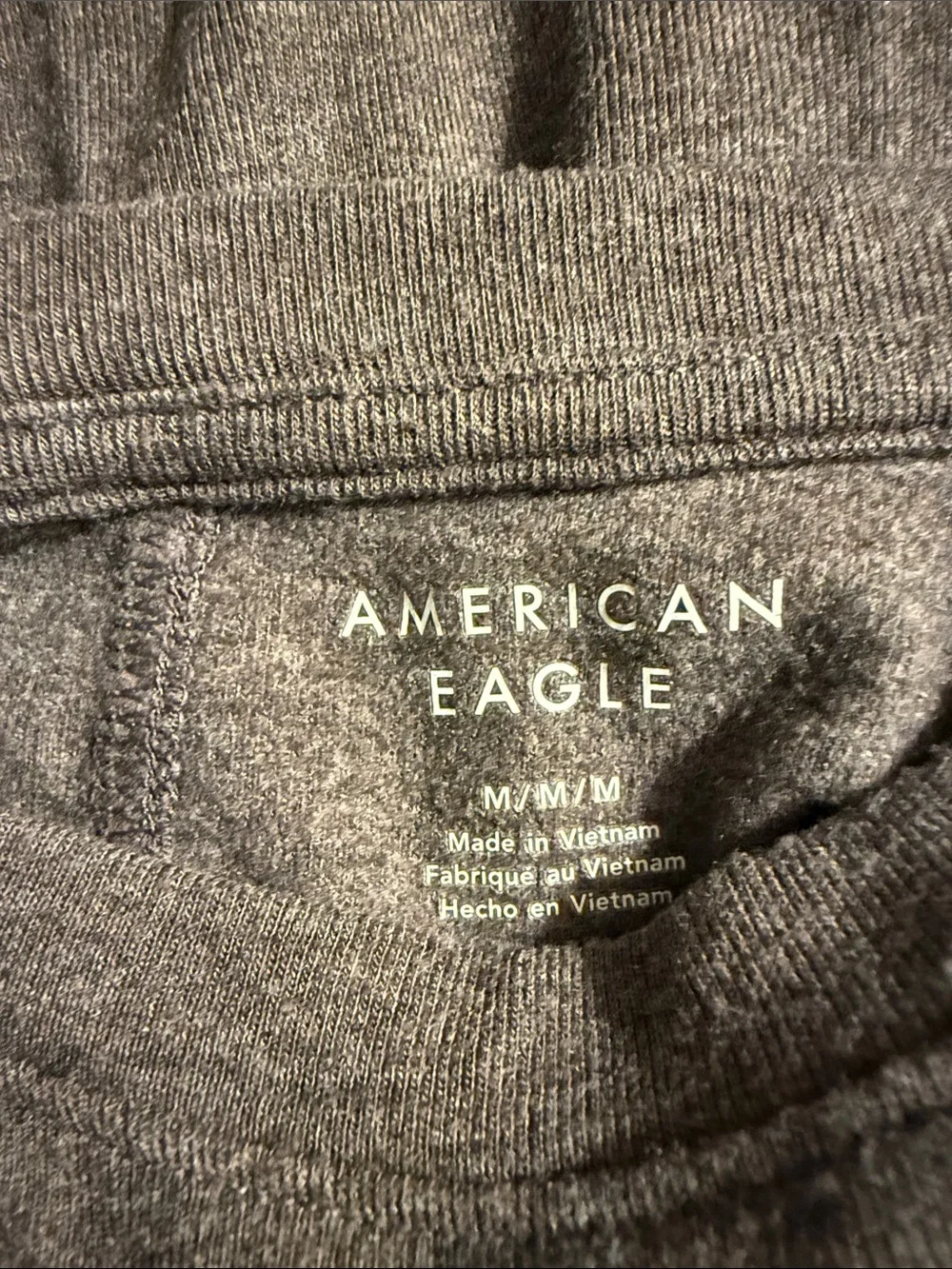 American eagle - Picture 4 of 5